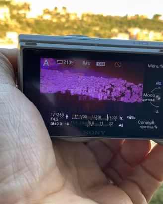 Sony nex-5 full spectrum infrared infrarossi