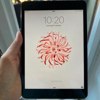 Ipad mini 16gb grigio siderale