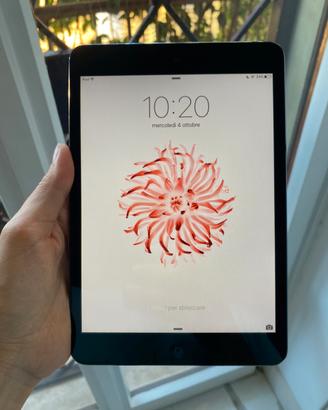 Ipad mini 16gb grigio siderale