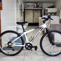 Bici 24 SEMI NUOVA cambio shimano