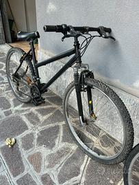 Bicicletta