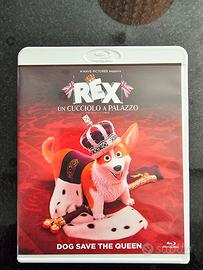 BLU RAY - REX UN CUCCIOLO A PALAZZO