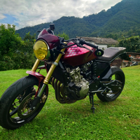 Honda Hornet 600 custom