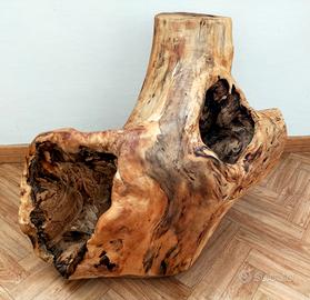 Scultura ornamentale in radica di faggio