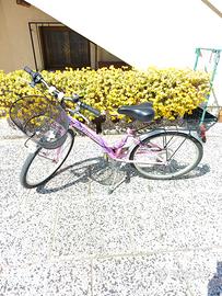 Bicicletta bambina 24 pollici