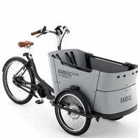 Babboe Curve Mountain - Grigio con batteria 500Wh