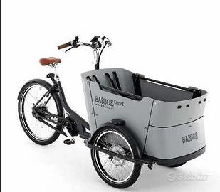 Babboe Curve Mountain - Grigio con batteria 500Wh