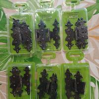 12 Cerniere in ferro battuto per ante in legno