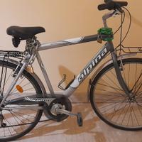 🚲 Bicicletta Alpina da città –