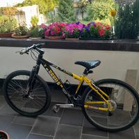 Bicicletta kastle sl 700
