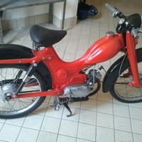 Vivi Viberti ciclomotore 50