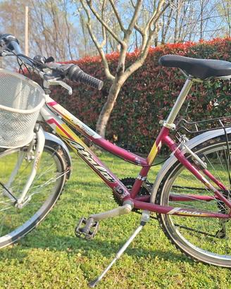 Bicicletta bambina da 8 a circa 12 anni