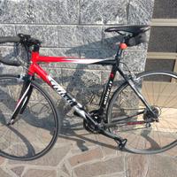 Bici da corsa Wilier triestina