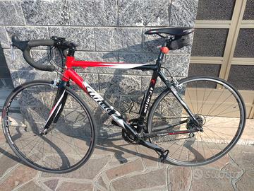 Bici da corsa Wilier triestina