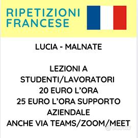Ripetizioni lingua Francese