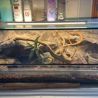 Terrario 3d 120x40x40