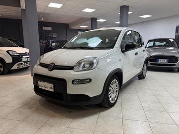Fiat Panda 1.0 FireFly S&S Hybrid SELARGIUS(CA) - 