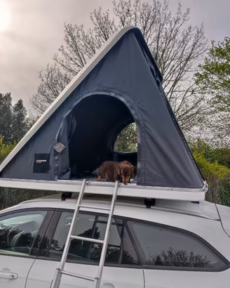 Tenda Columbus Nuova 2026!!!