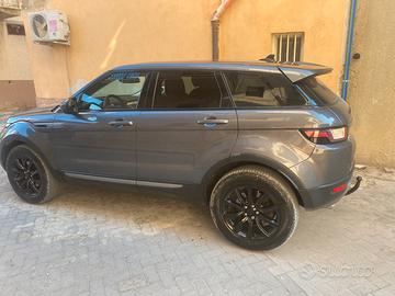 Ranger rovere evoque