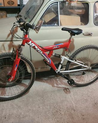 Due bici usate
