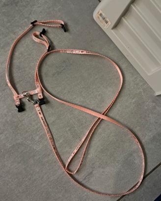 Accessori conigli