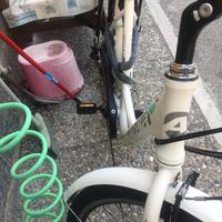 Bici pedalata assistita