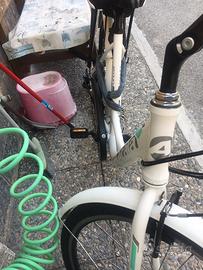 Bici pedalata assistita