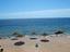 Immagine 6