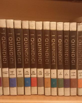 i quindici