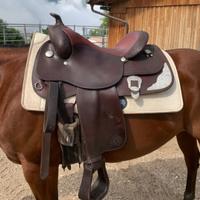 Sella Western Circle Y Brand