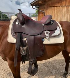 Sella Western Circle Y Brand