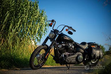 Harley Davidson Street Bob 2020