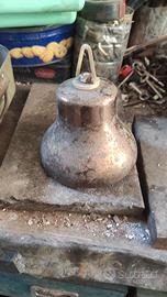 Campana badenia campanella