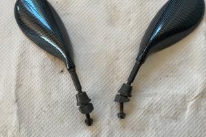 Specchietti barracuda