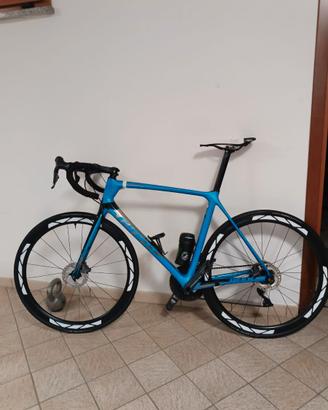 Giant TCR disc 2019