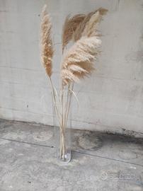 vaso alto in vetro con 5 Pampas naturale 