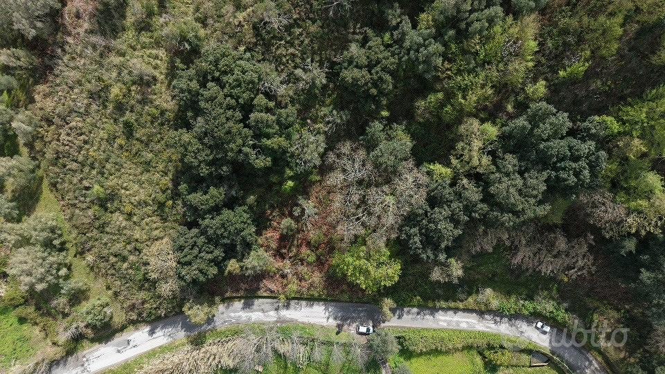 Terreno agricolo - Vista 2