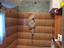 Immagine 16