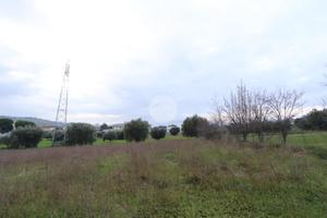 TER. RESIDENZIALE A TORTORETO