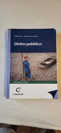 diritto pubblico-Roberto bin- giovanni pitruzzella
