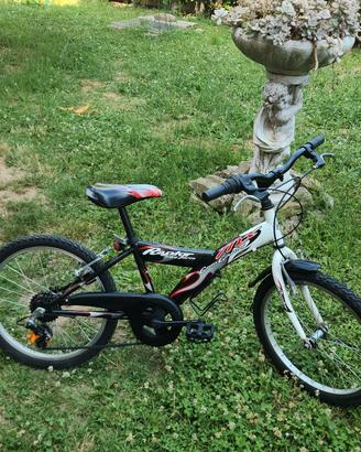 Bici bambino