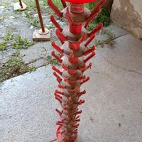 Scola bottiglie 