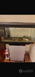 Acquario