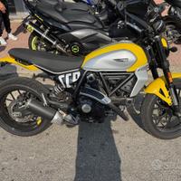 Ducati Scrambler - 2023 icon yellow 800