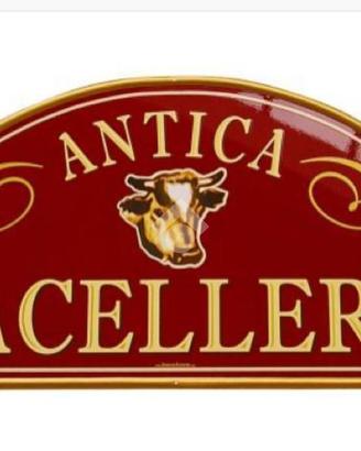 ATTIVITÀ A VERONA