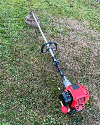 Decespugliatore Robin BH 3500