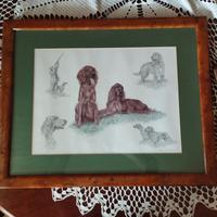 quadro Setter Irlandesi Nigel Hemming