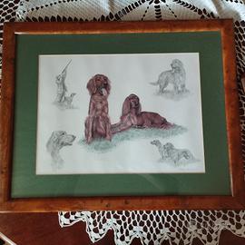 quadro Setter Irlandesi Nigel Hemming