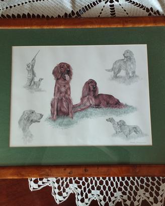 quadro Setter Irlandesi Nigel Hemming