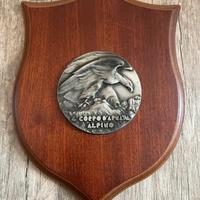 Crest Araldico 4° Corpo d'Armata Alpino